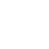 PYfecta White Logo Icon